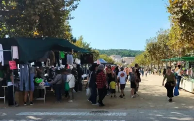 Estudi al Mercat Setmanal de Sant Feliu de Llobregat